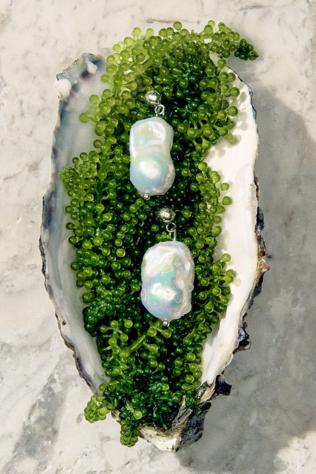 Baroque freshwater pearl drop earrings displayed on oyster shell