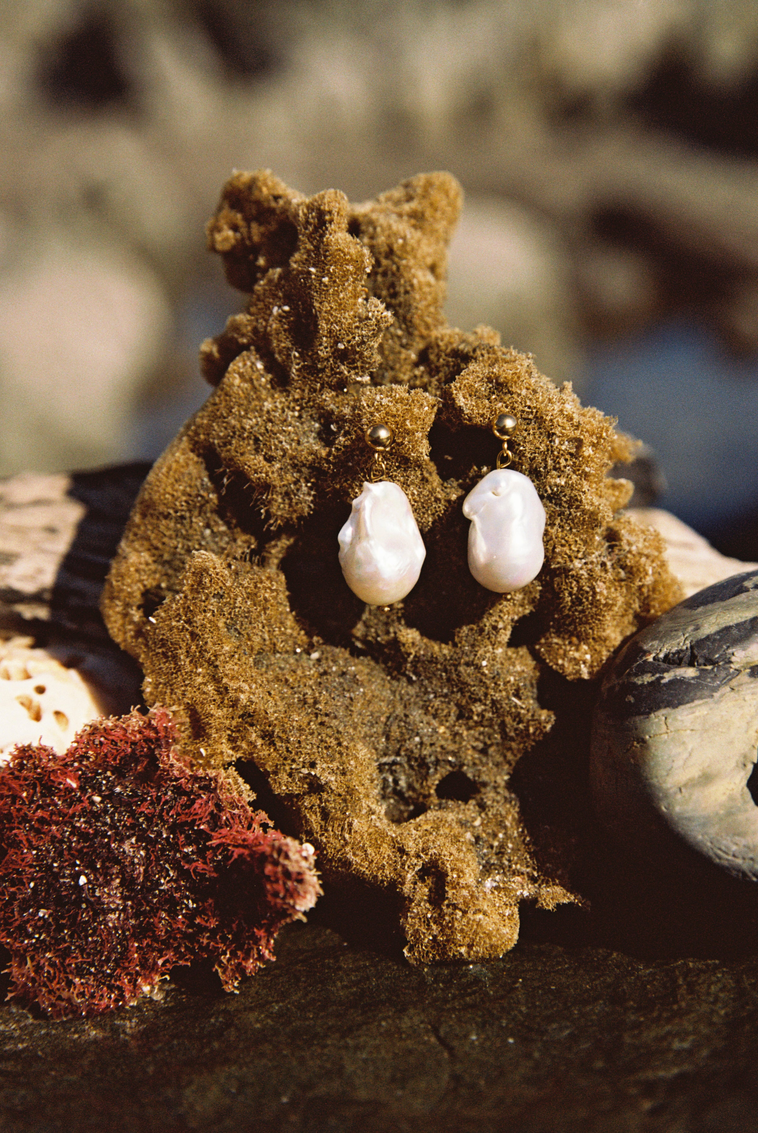 Gold baroque pearl earrings placed on natural coral background