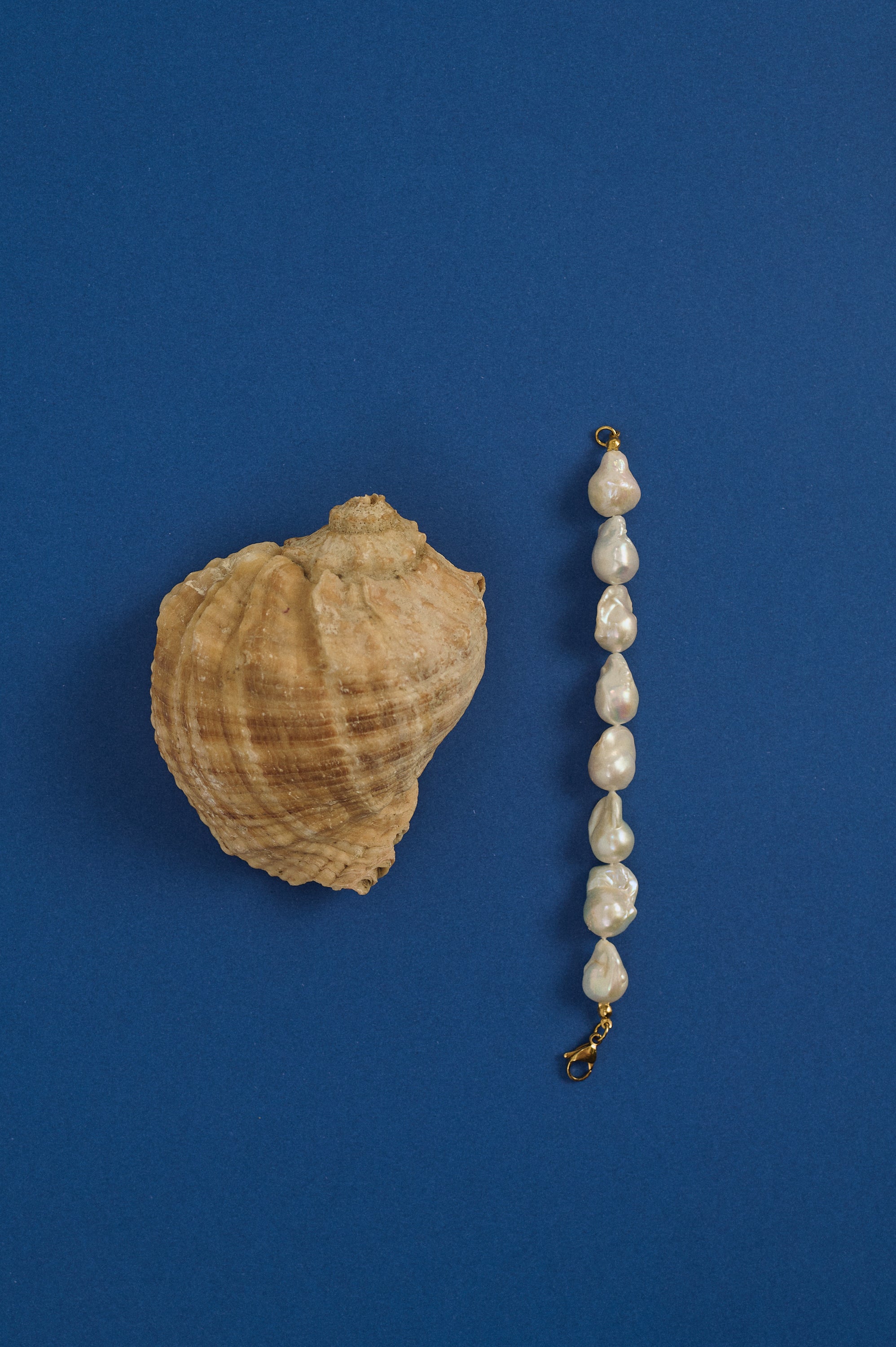 Shell and pearl necklace on a blue background