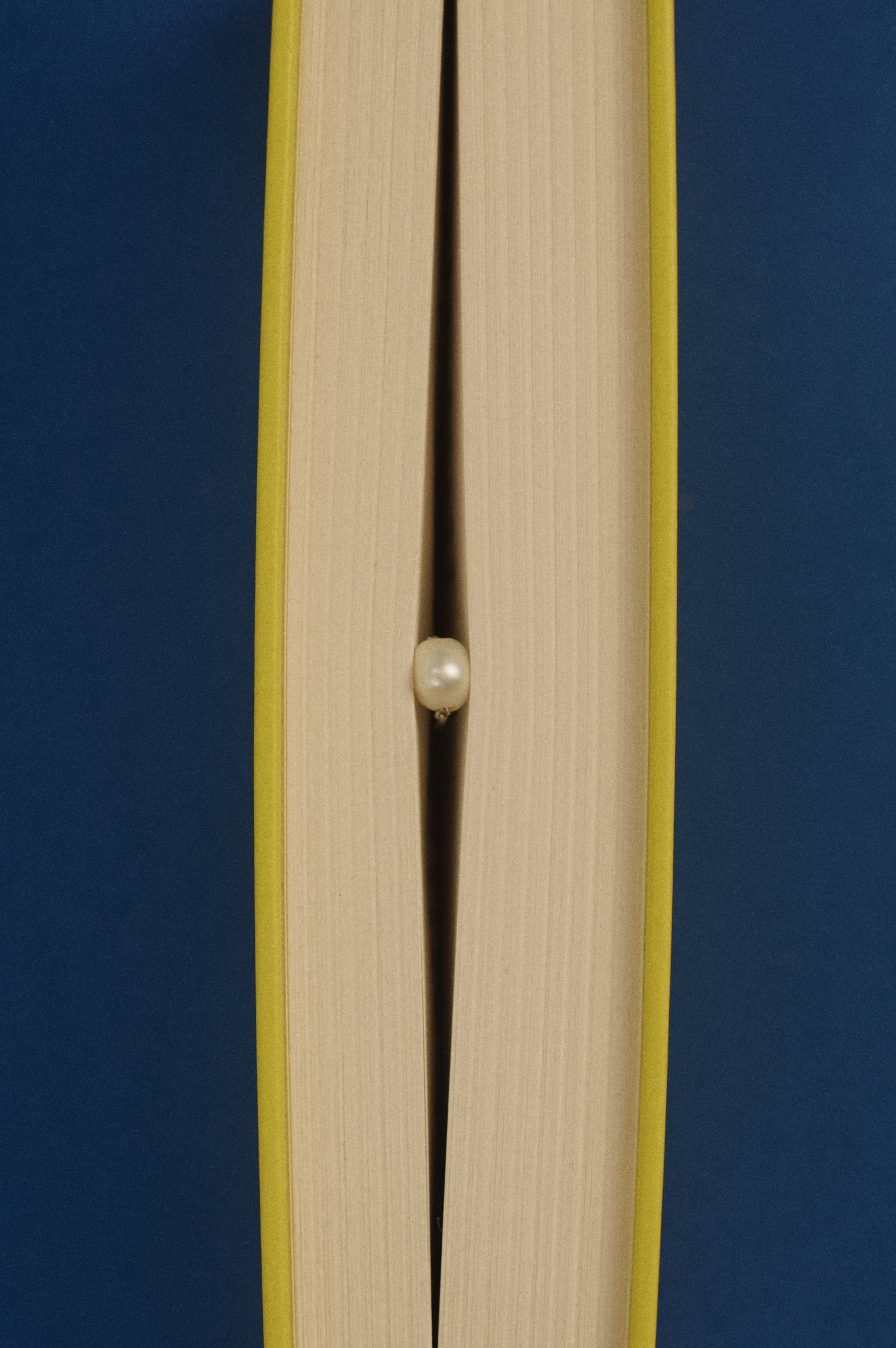 Close-up of a pearl on a blue and beige background